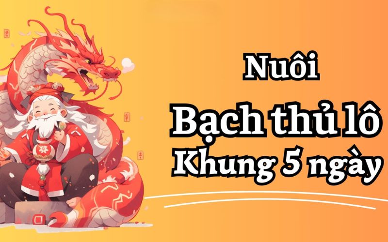 người chơi theo dõi và chọn số theo cầu lô tô bạch thủ