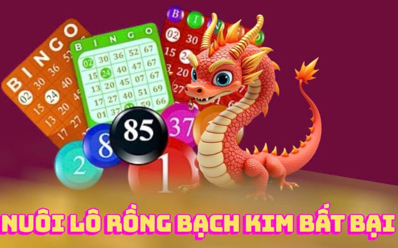 các con số lô đề được đánh dấu theo cầu rồng bạch kim